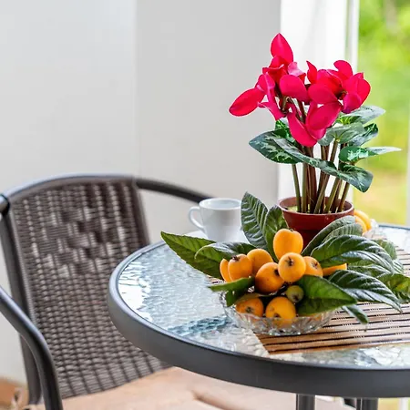 Theodoros 아파트 Sidárion